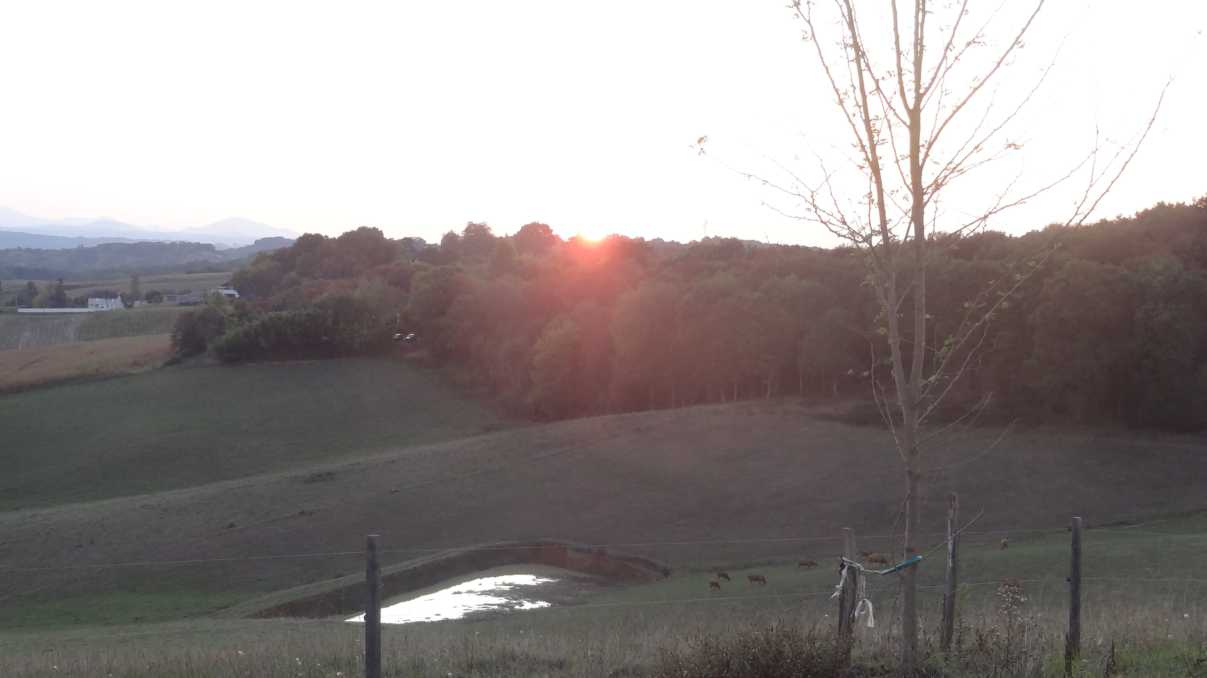 Au coucher du soleil