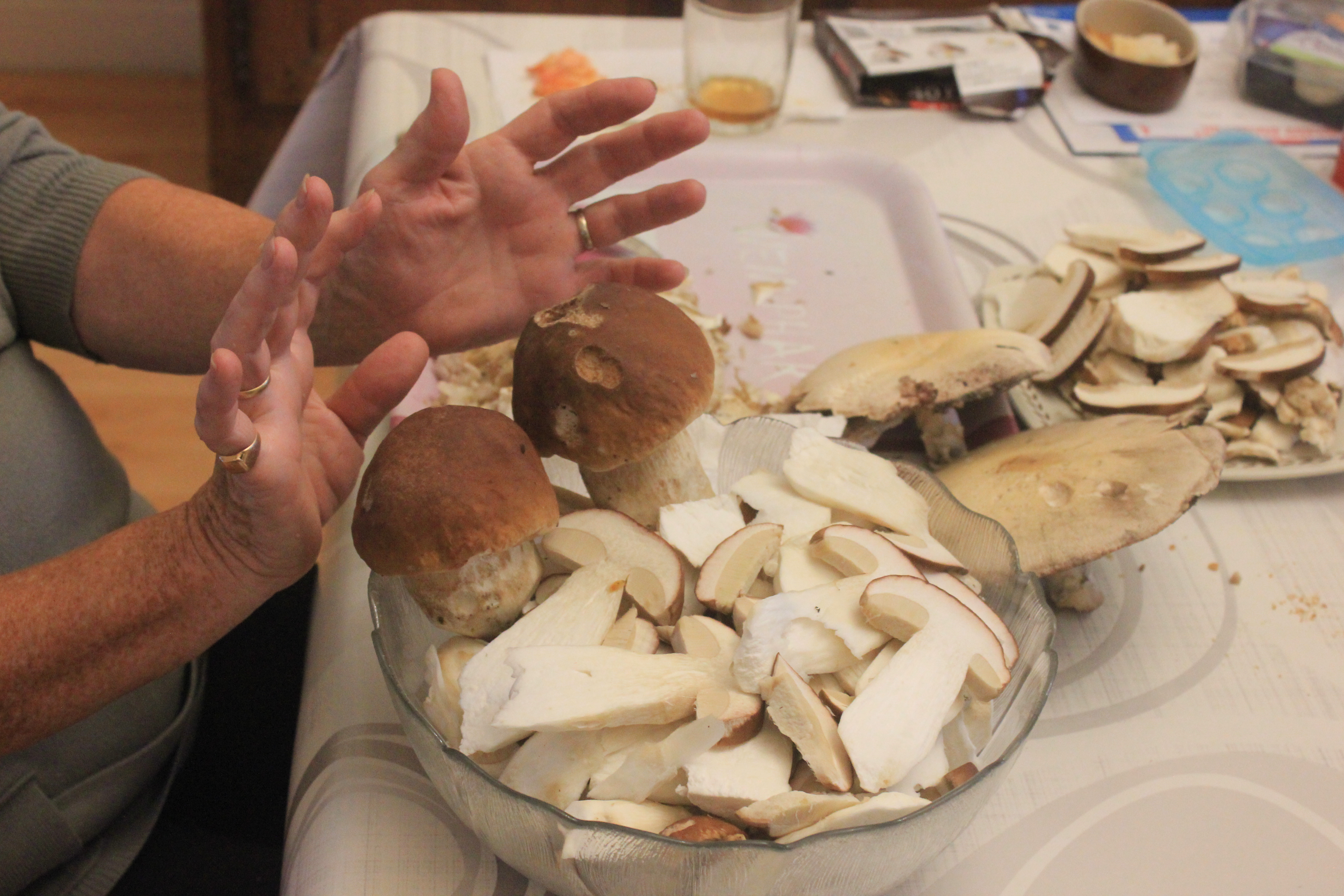 champignons 058.JPG