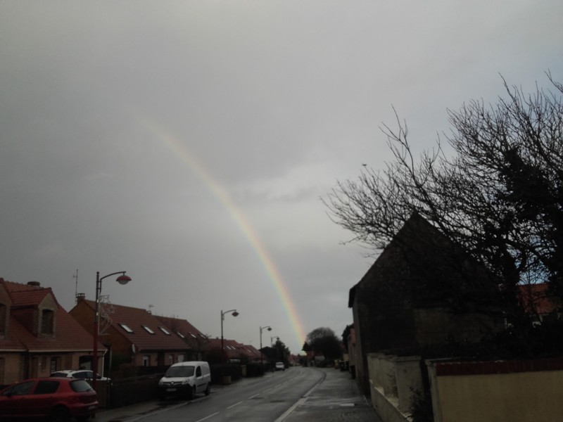 20201217_151320.jpg