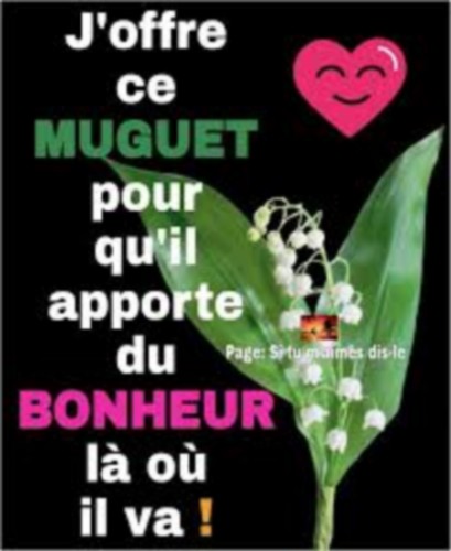 images (1).jpg