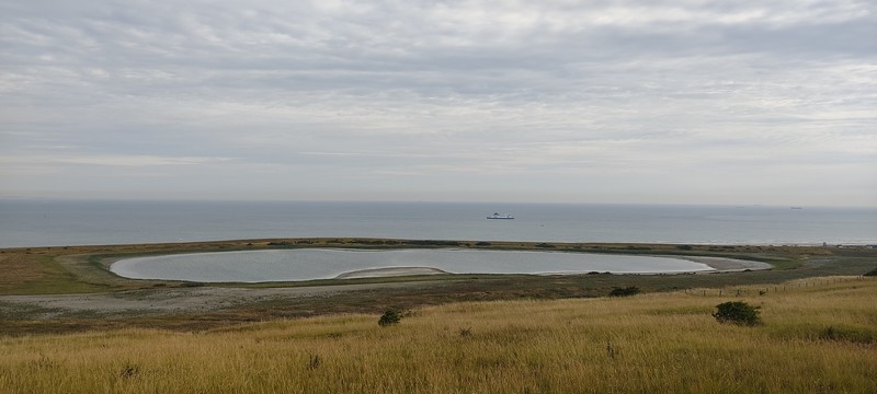 IMG_20220728_083754.jpg