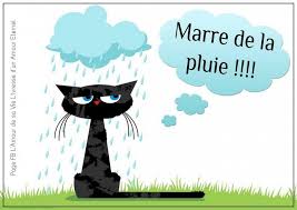 téléchargement (3).jpg