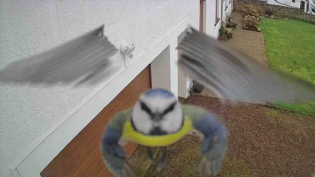 2f1b4c2d-d0a2-4ef5-8d3c-1218c4acc64e.jpg