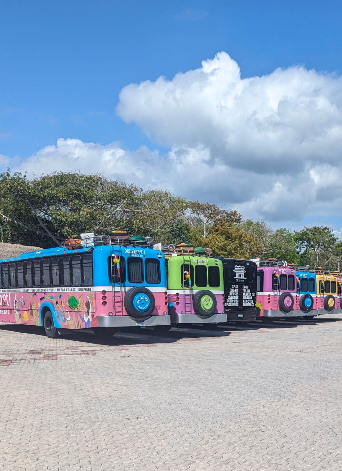 D'autre bus couleurs