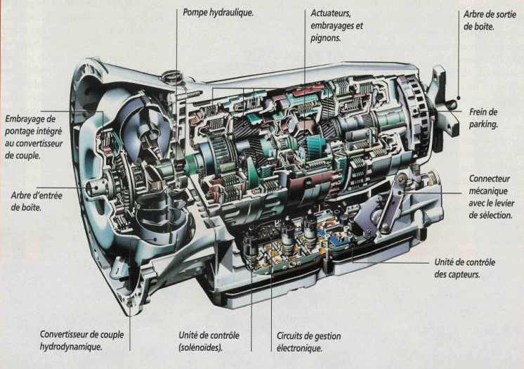 BVA 722..jpg