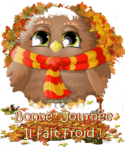 image_0946180_20221202_ob_ef9d65_il-fait-froid-bonne-journee-et-peti.gif
