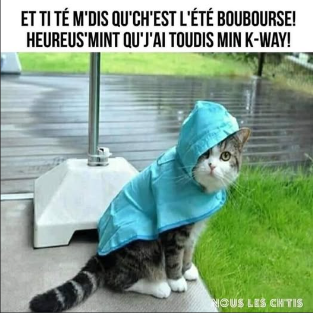Traduction: Et tu dis que c'est l'été imbécile, heureusement que j'ai toujours mon K W-way