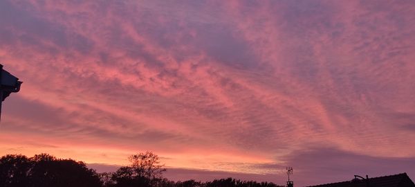 IMG_20250907_203818.jpg