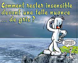 téléchargement (16).jpg