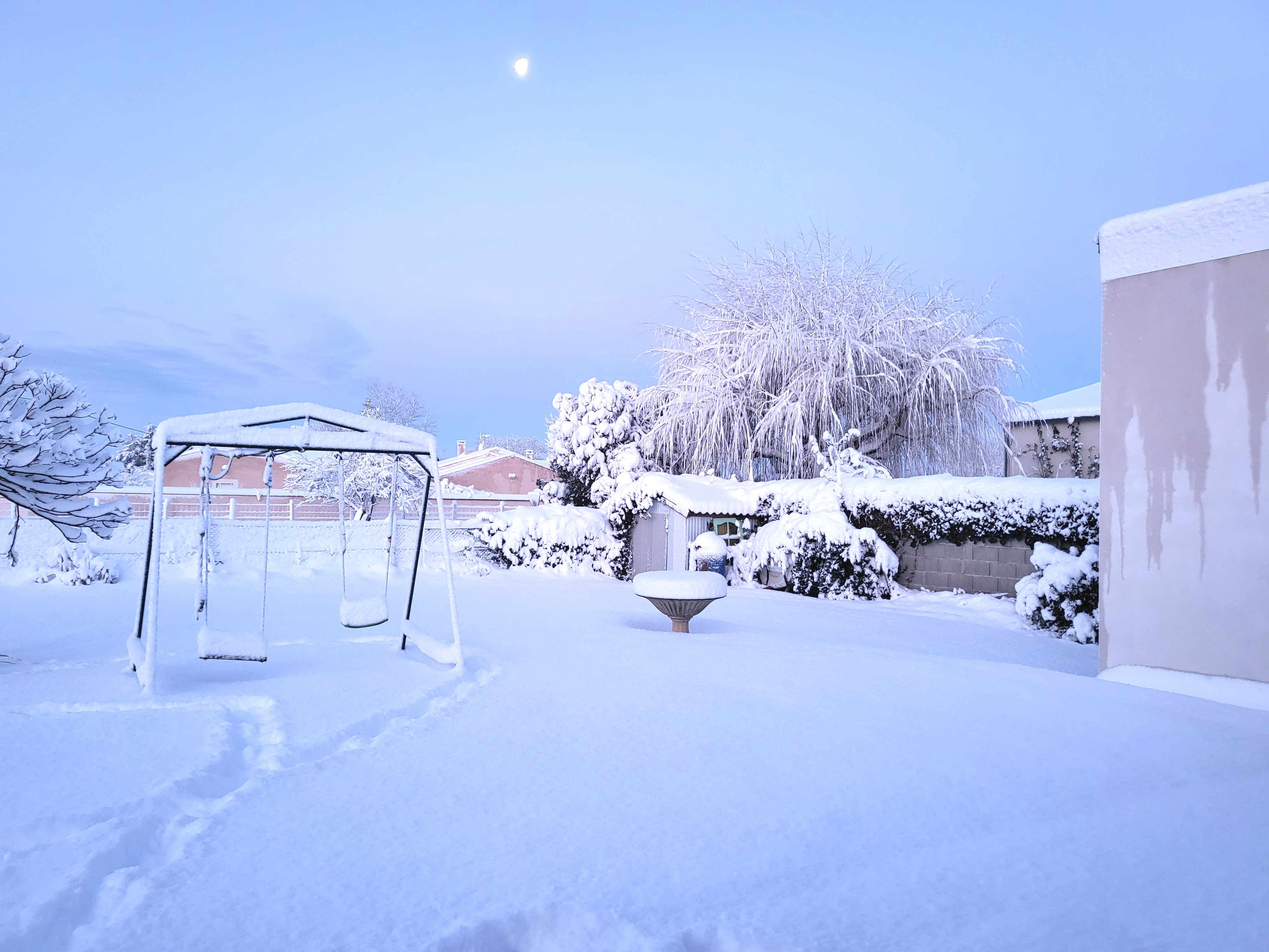 20260106_082646 (1).jpg