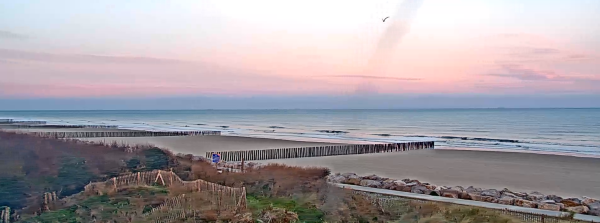 Capture d'écran 2026-01-11 085217.png