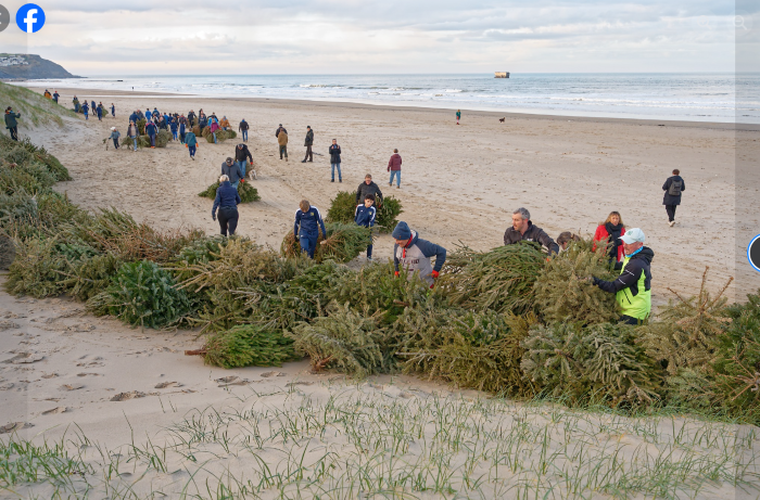 Capture d'écran 2026-01-20 084924.png