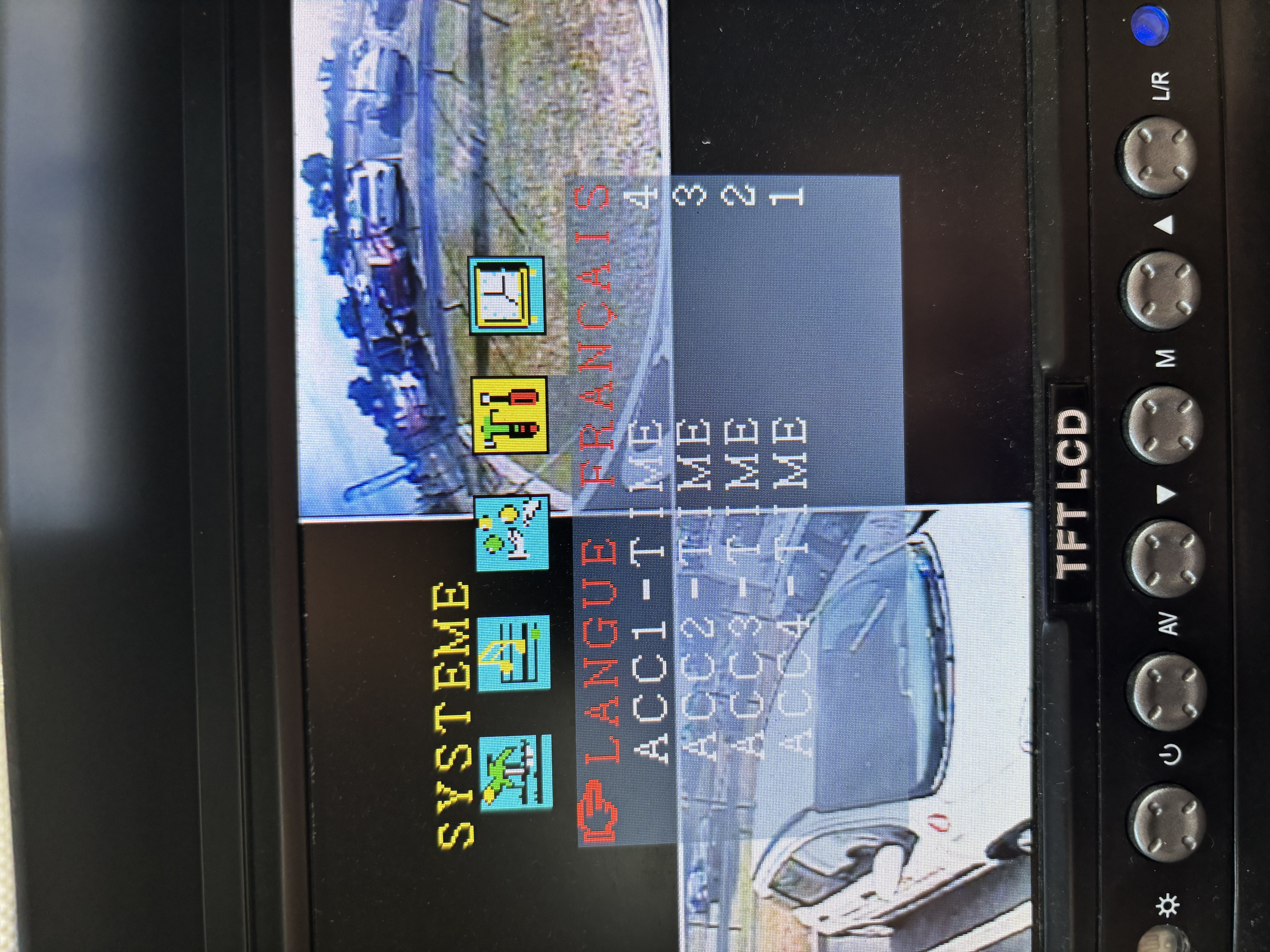 IMG_3612.jpeg
