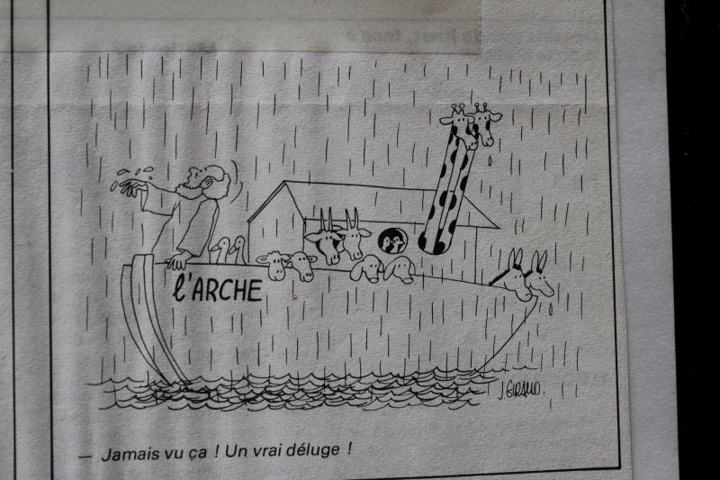 ARCHE de NOE .jpg