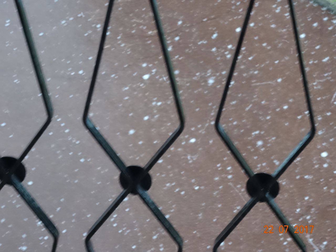DSC02505.jpg
