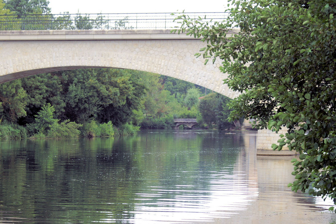 BORD DE CHARENTE (19).JPG